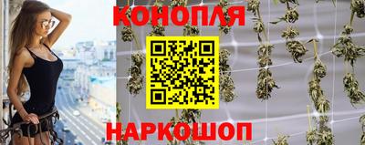 mdpv Белореченск
